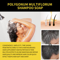 EELHOE Hair Shampoo with He Shou Wu Extract for Black and Smooth Hair